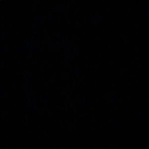 Meet your Posher, Helen